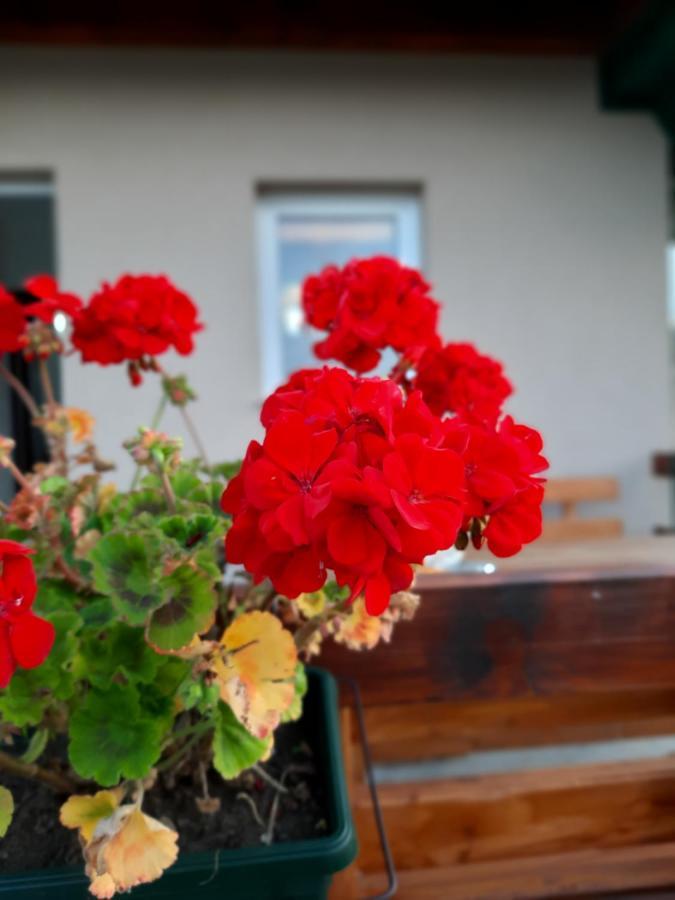 Vacation Home Danilo Žabljak Exterior foto